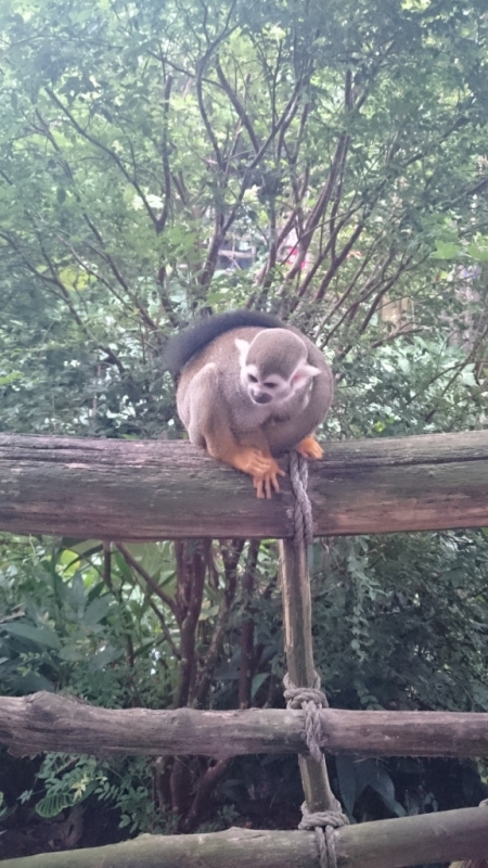 Zoo Leipzig