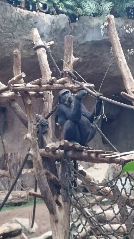 Zoo Leipzig