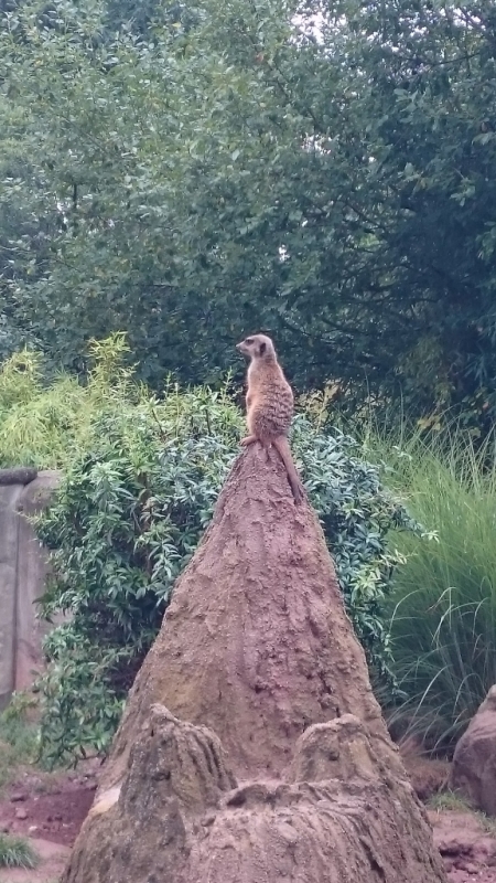 Zoo Leipzig